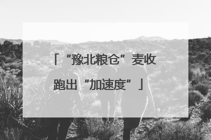 “豫北粮仓”麦收跑出“加速度”