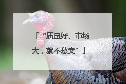 “质量好、市场大，就不愁卖”