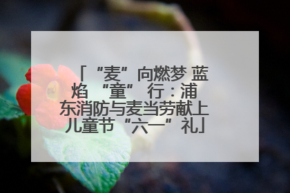“麦”向燃梦 蓝焰 “童” 行：浦东消防与麦当劳献上儿童节“六一”礼