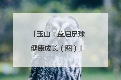玉山：益启足球 健康成长（图）
