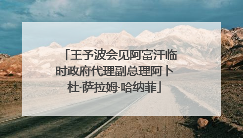 王予波会见阿富汗临时政府代理副总理阿卜杜·萨拉姆·哈纳菲