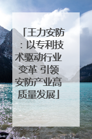 王力安防：以专利技术驱动行业变革 引领安防产业高质量发展