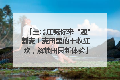 王哥庄喊你来“趣”割麦！麦田里的丰收狂欢，解锁田园新体验