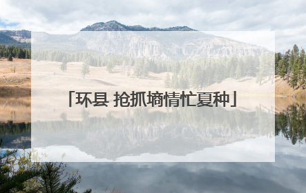环县 抢抓墒情忙夏种