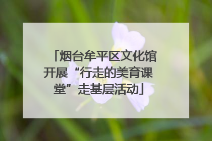 烟台牟平区文化馆开展“行走的美育课堂”走基层活动