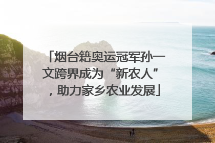 烟台籍奥运冠军孙一文跨界成为“新农人”，助力家乡农业发展