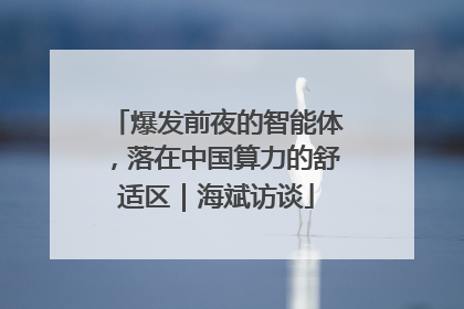 爆发前夜的智能体，落在中国算力的舒适区｜海斌访谈