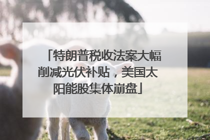 特朗普税收法案大幅削减光伏补贴，美国太阳能股集体崩盘