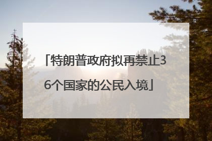 特朗普政府拟再禁止36个国家的公民入境