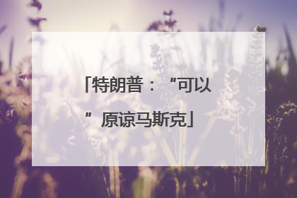 特朗普：“可以”原谅马斯克