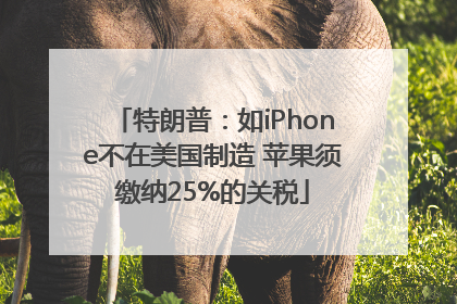 特朗普：如iPhone不在美国制造 苹果须缴纳25%的关税