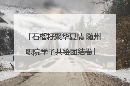石榴籽聚华夏情 随州职院学子共绘团结卷