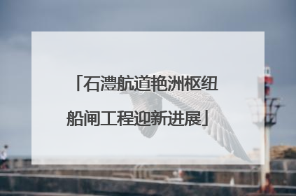 石澧航道艳洲枢纽船闸工程迎新进展