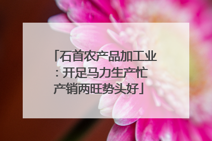 石首农产品加工业：开足马力生产忙 产销两旺势头好