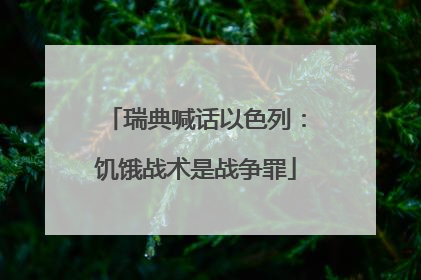 瑞典喊话以色列：饥饿战术是战争罪