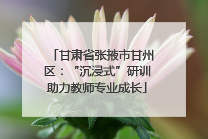 甘肃省张掖市甘州区：“沉浸式”研训助力教师专业成长
