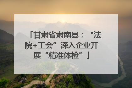 甘肃省肃南县：“法院+工会”深入企业开展“精准体检”