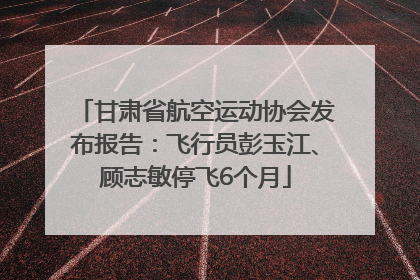 甘肃省航空运动协会发布报告：飞行员彭玉江、顾志敏停飞6个月