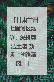 甘肃兰州七里河区烟草：深耕廉洁土壤 劲扬“丝路清风”