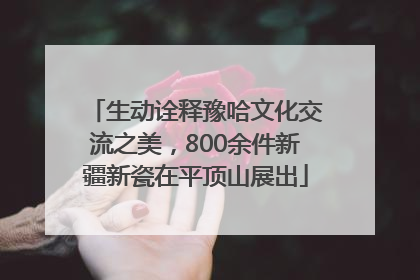 生动诠释豫哈文化交流之美，800余件新疆新瓷在平顶山展出