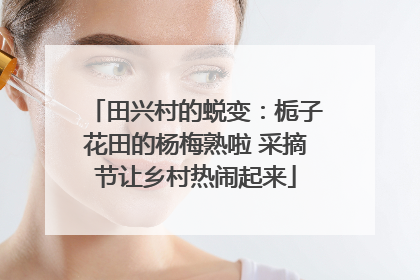 田兴村的蜕变：栀子花田的杨梅熟啦 采摘节让乡村热闹起来