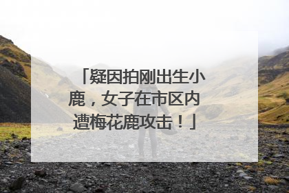 疑因拍刚出生小鹿，女子在市区内遭梅花鹿攻击！