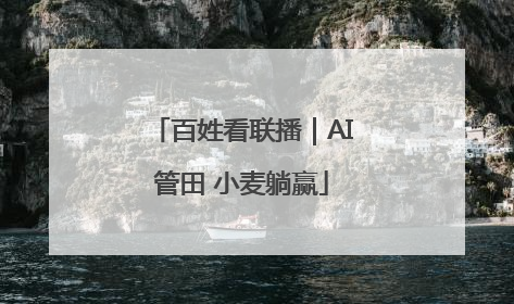 百姓看联播｜AI管田 小麦躺赢
