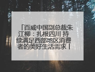 百威中国副总裁朱江柳：扎根四川 持续满足西部地区消费者的美好生活需求丨西望四川