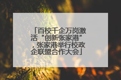 百校千企万岗激活“创新张家港”，张家港举行校政企联盟合作大会