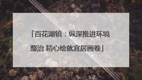 百花湖镇：纵深推进环境整治 精心绘就宜居画卷