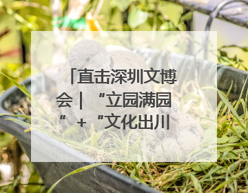 直击深圳文博会｜“立园满园”+“文化出川”+“科技赋能”，成都传媒发布三大文创领域合作清单