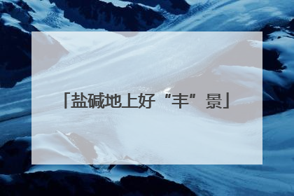 盐碱地上好“丰”景