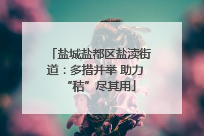 盐城盐都区盐渎街道：多措并举 助力“秸”尽其用