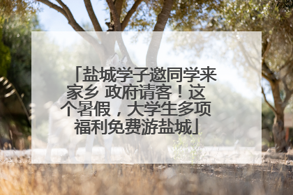 盐城学子邀同学来家乡 政府请客！这个暑假，大学生多项福利免费游盐城