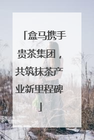 盒马携手贵茶集团，共筑抹茶产业新里程碑