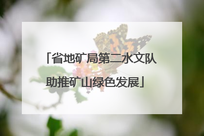 省地矿局第二水文队助推矿山绿色发展