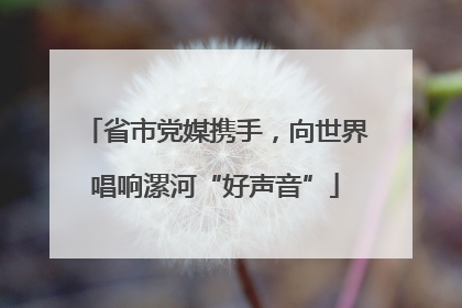 省市党媒携手，向世界唱响漯河“好声音”