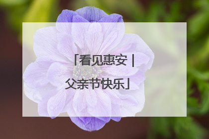 看见惠安｜父亲节快乐