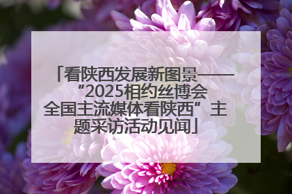 看陕西发展新图景——“2025相约丝博会 全国主流媒体看陕西”主题采访活动见闻