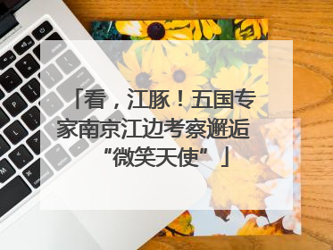 看，江豚！五国专家南京江边考察邂逅“微笑天使”