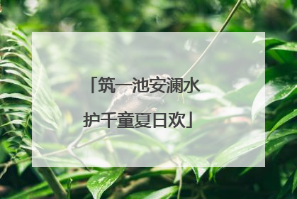 筑一池安澜水 护千童夏日欢