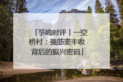 筝鸣时评丨一空桥村：强筋麦丰收背后的振兴密码