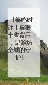 筝鸣时评丨夏粮丰收背后，是潍坊全城的守护