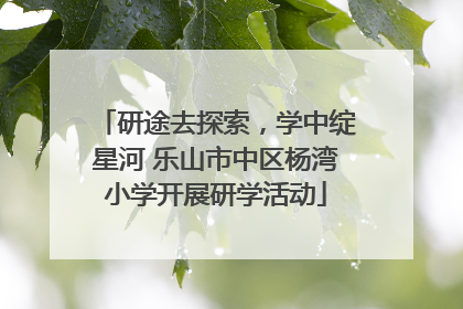 研途去探索，学中绽星河 乐山市中区杨湾小学开展研学活动