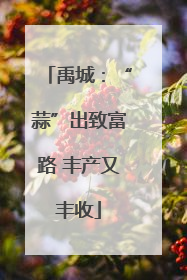 禹城：“蒜”出致富路 丰产又丰收
