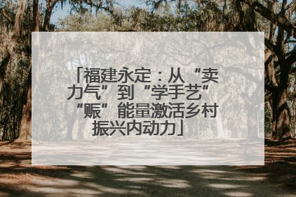 福建永定：从“卖力气”到“学手艺”“赈”能量激活乡村振兴内动力