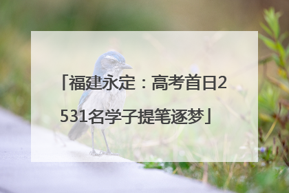 福建永定：高考首日2531名学子提笔逐梦