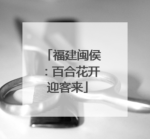 福建闽侯：百合花开迎客来