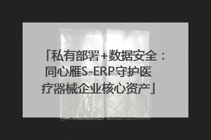 私有部署+数据安全：同心雁S-ERP守护医疗器械企业核心资产