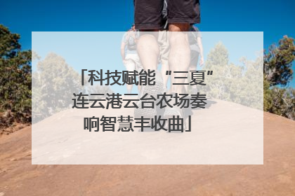 科技赋能“三夏” 连云港云台农场奏响智慧丰收曲